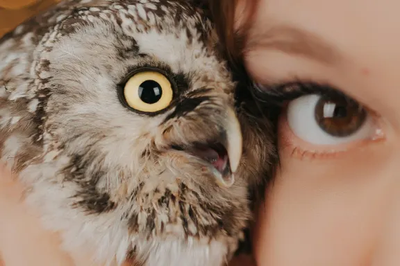 Καζίνο ΟλΣταρ Σλοτς Υποστηριξη